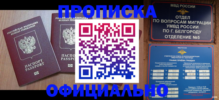 найти адрес прописки в Заволжске